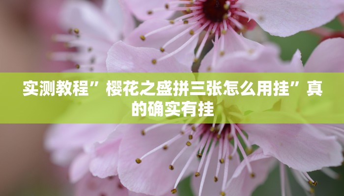 实测分享微信小程序麻将助赢神器”其实确实有挂
