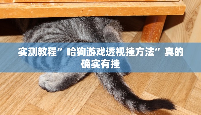 实测教程”阿坝州斗十四辅助开挂”其实确实有挂

