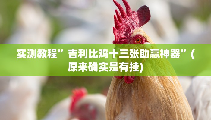 攻略必备“久久大厅透视挂”真的确实有挂