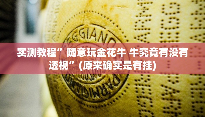 攻略必备“火拼耍大牌辅助透视挂软件”真的确实有挂