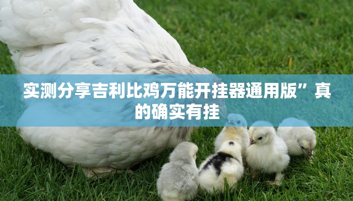 实测分享吉利比鸡万能开挂器通用版”真的确实有挂