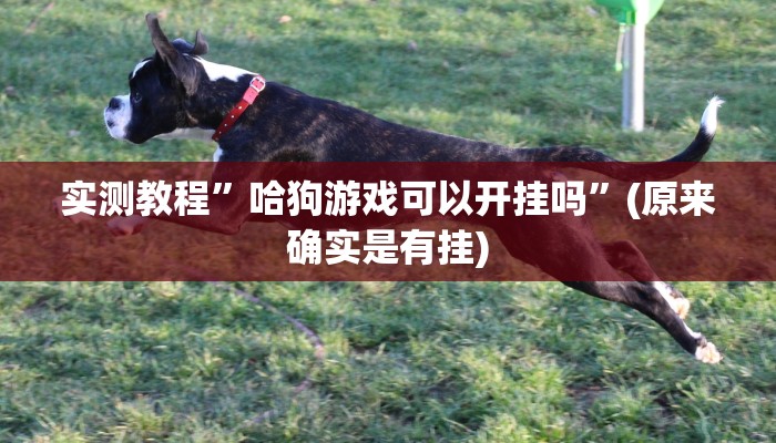 攻略必备“微乐抓鸡麻将透视”(原来确实是有挂)
