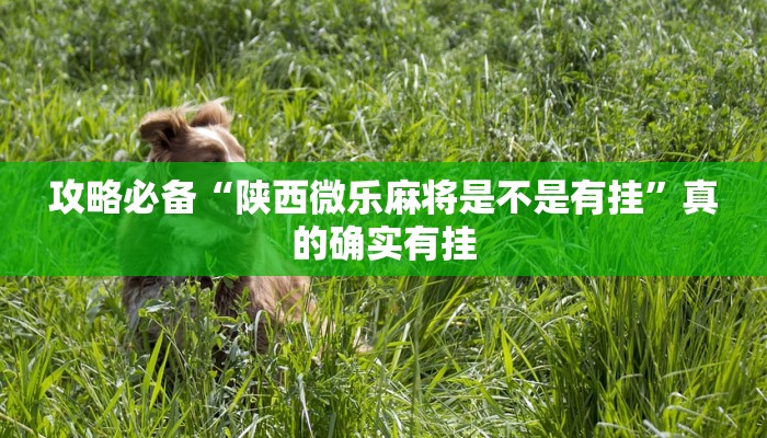 实测教程”新人皇开挂透视下载”真的确实有挂