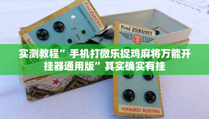 攻略必备“新金龙透视挂”其实确实有挂

