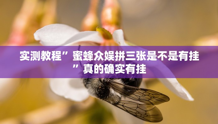 实测分享科乐麻将透视软件”(原来确实是有挂)