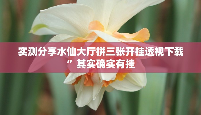 攻略必备“52营口麻将助赢神器”(原来确实是有挂)