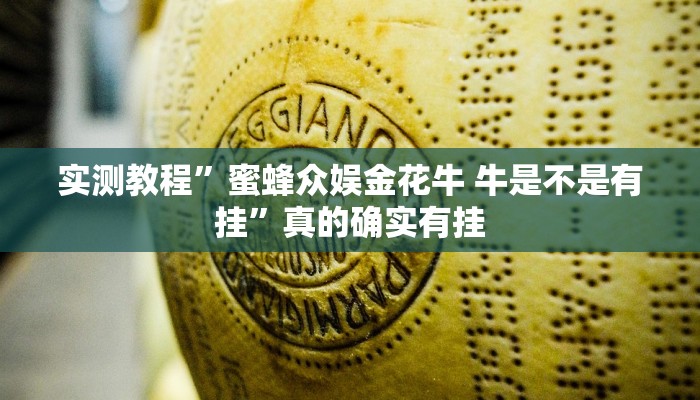 攻略必备“锋视六安麻将辅助透视挂软件”其实确实有挂
