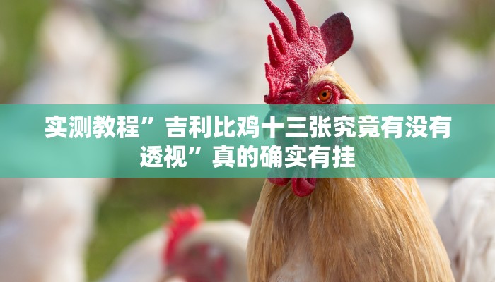 实测教程”新游道金花怎么用挂”(原来确实是有挂)