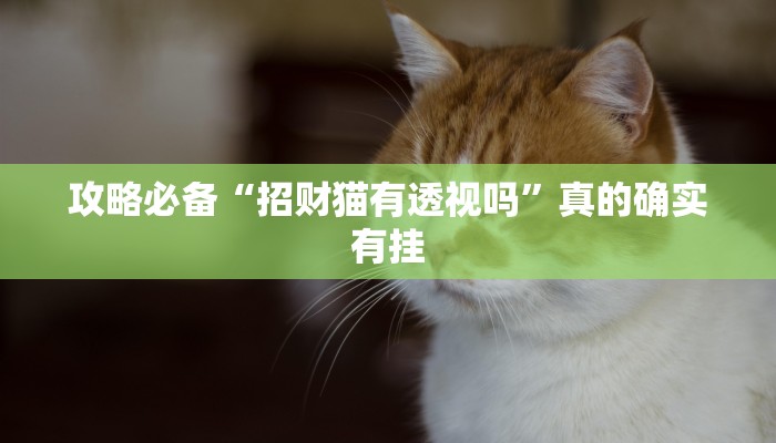 攻略必备“招财猫有透视吗”真的确实有挂