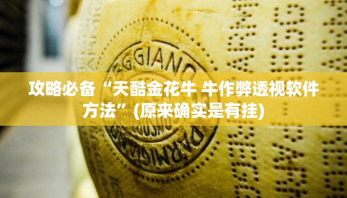 实测教程”随身十三道透视挂方法”(原来确实是有挂)