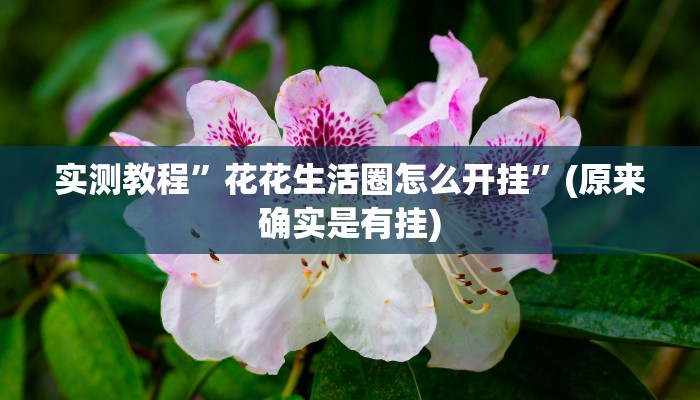实测教程”花花生活圈怎么开挂”(原来确实是有挂)
