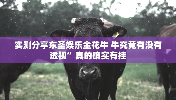实测教程”旺旺南平麻将有透视吗”其实确实有挂
