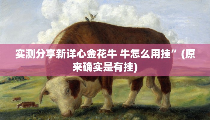 攻略必备“休闲九九透视”(原来确实是有挂)