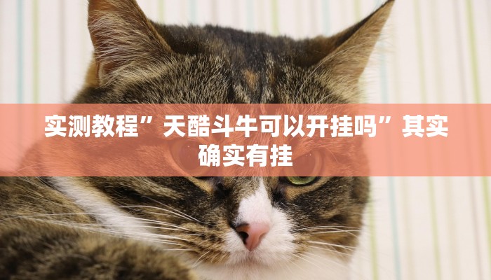 攻略必备“老友福建棋牌怎么用挂”(原来确实是有挂)