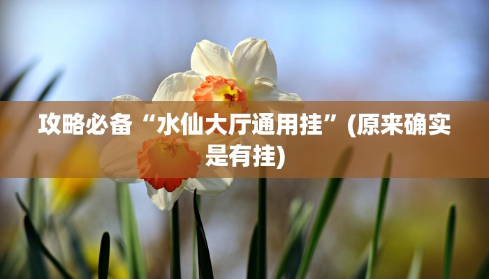 实测分享享博棋牌怎么开挂”(原来确实是有挂)