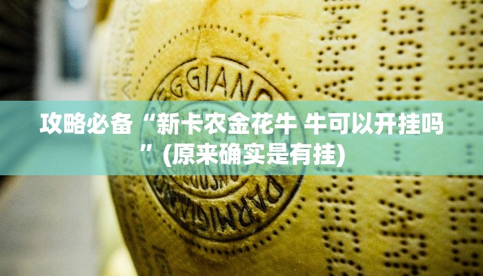 实测教程”熊猫麻将透视挂方法”其实确实有挂
