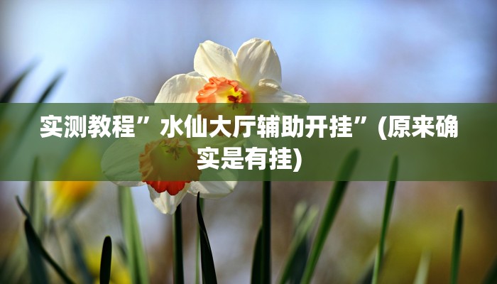实测分享大发棋牌怎么开挂”(原来确实是有挂)