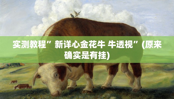 实测教程”新详心金花牛 牛透视”(原来确实是有挂)