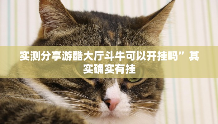 实测分享游酷大厅斗牛可以开挂吗”其实确实有挂
