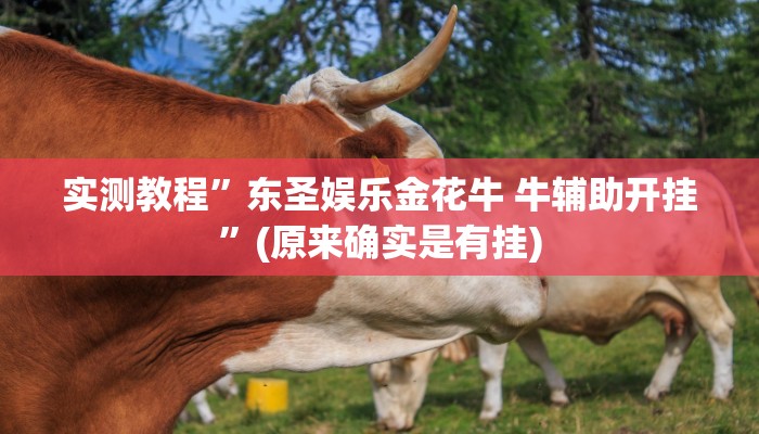 攻略必备“元来黄冈麻将可以开挂吗”其实确实有挂
