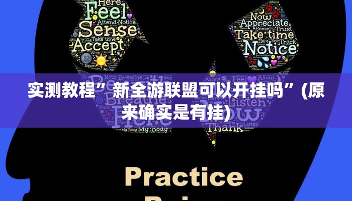 实测教程”盛大娱乐辅助开挂”其实确实有挂
