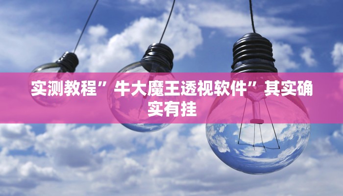 实测教程”牛大魔王透视软件”其实确实有挂
