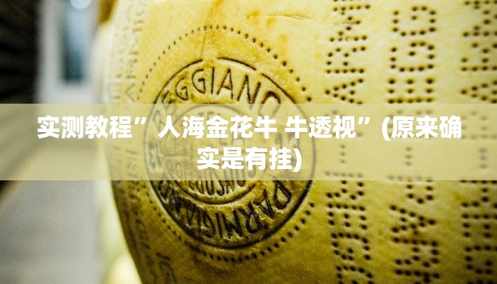 实测教程”人海金花牛 牛透视”(原来确实是有挂)