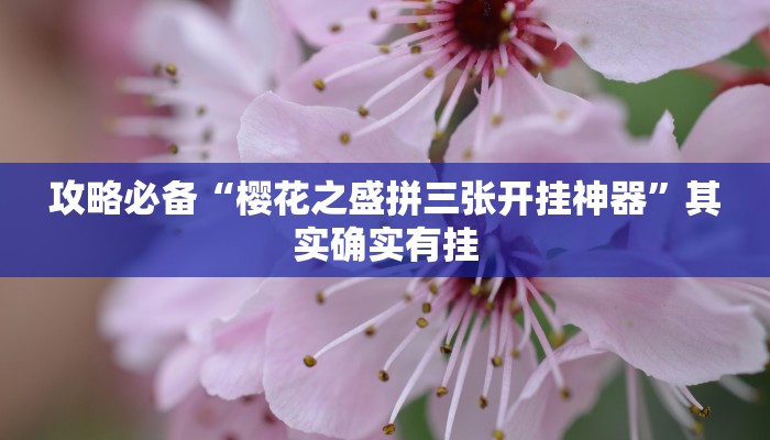 攻略必备“樱花之盛拼三张开挂神器”其实确实有挂
