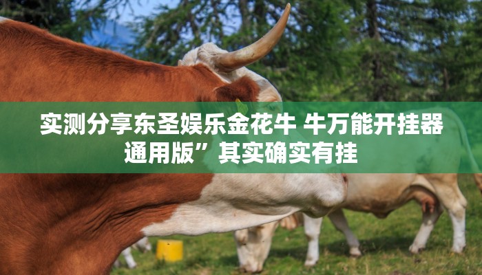 攻略必备“吉祥四川麻将作弊透视开挂软件”真的确实有挂