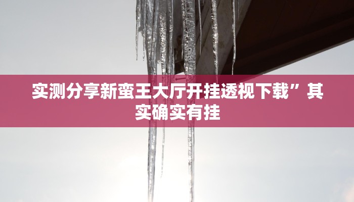 实测教程”虾兵蟹将究竟有没有透视”其实确实有挂
