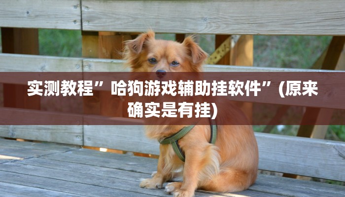 实测教程”哈狗游戏辅助挂软件”(原来确实是有挂)