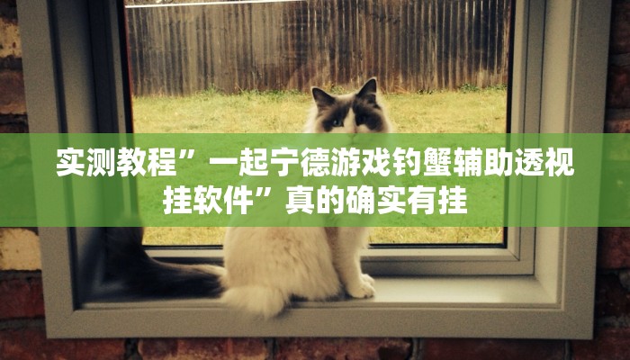 实测教程”一起宁德游戏钓蟹辅助透视挂软件”真的确实有挂