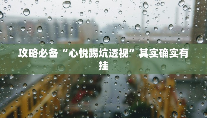 攻略必备“心悦踢坑透视”其实确实有挂
