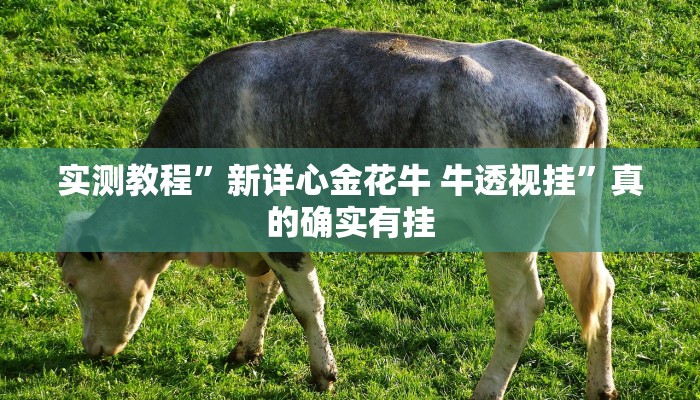 实测教程”新详心金花牛 牛透视挂”真的确实有挂