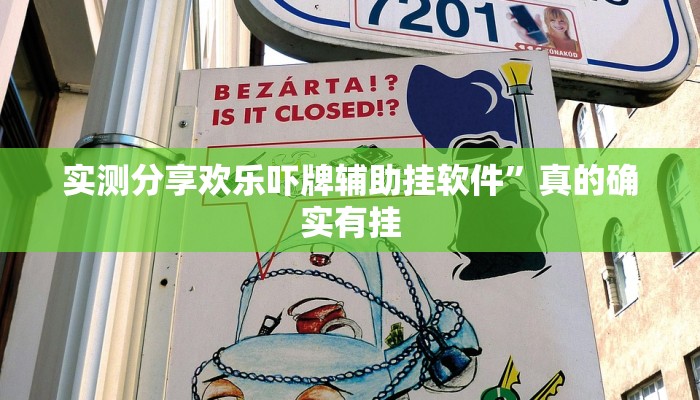 实测教程”新珊瑚大厅透视软件”其实确实有挂
