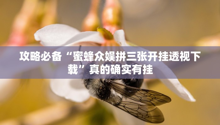 实测分享云娱竞技透视挂”其实确实有挂

