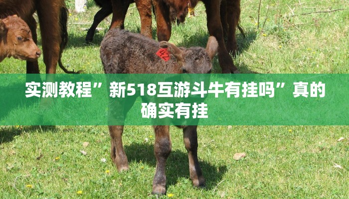 实测分享宁海罗松开挂神器”(原来确实是有挂)