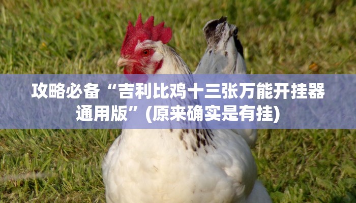 攻略必备“吉利比鸡十三张万能开挂器通用版”(原来确实是有挂)