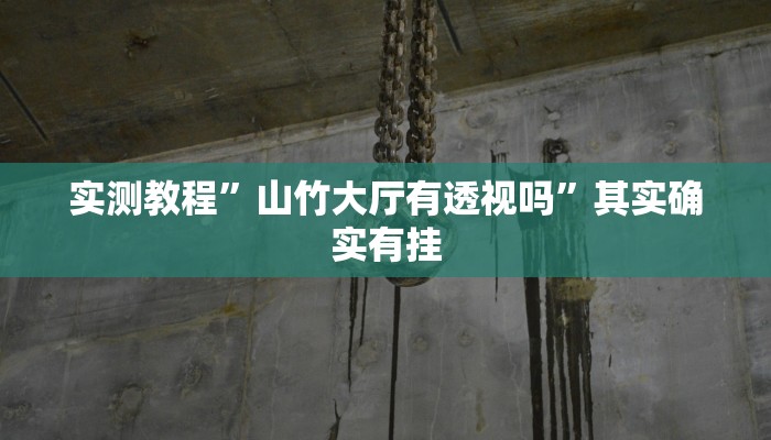 攻略必备“鸿运比鸡开挂神器”其实确实有挂
