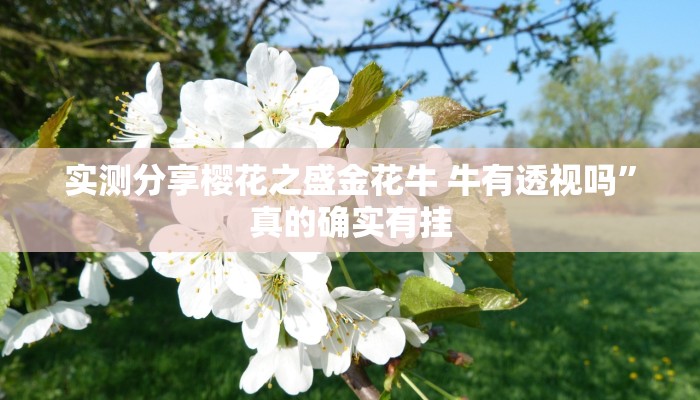 实测分享樱花之盛金花牛 牛有透视吗”真的确实有挂