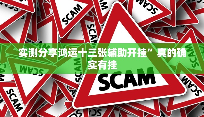 实测分享鸿运十三张辅助开挂”真的确实有挂