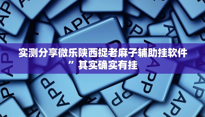 实测分享微乐陕西捉老麻子辅助挂软件”其实确实有挂
