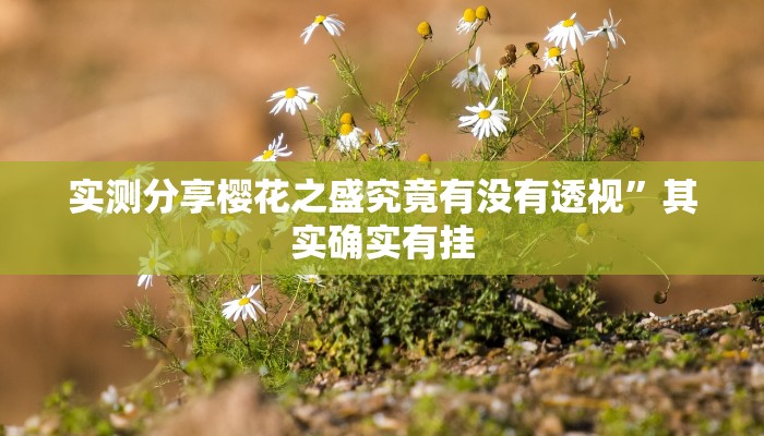 实测分享樱花之盛究竟有没有透视”其实确实有挂
