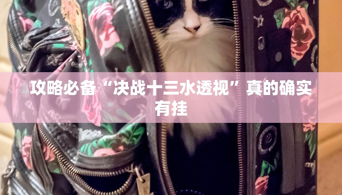 攻略必备“决战十三水透视”真的确实有挂