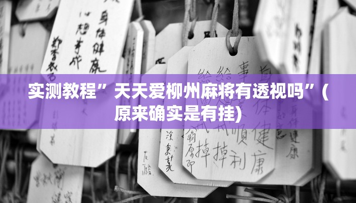 实测教程”天天爱柳州麻将有透视吗”(原来确实是有挂)