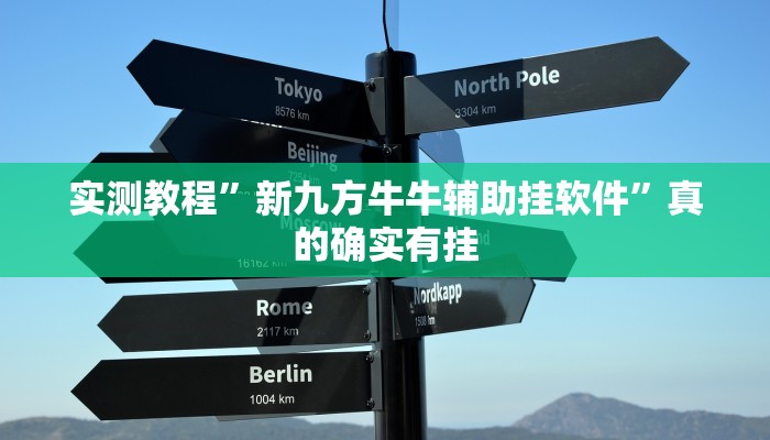 实测教程”新九方牛牛辅助挂软件”真的确实有挂