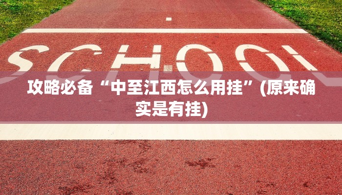 攻略必备“中至江西怎么用挂”(原来确实是有挂)