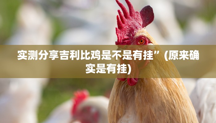 实测分享国潮娱乐怎么开挂”真的确实有挂