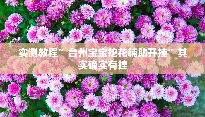 实测分享Ruler万能开挂器通用版”(原来确实是有挂)