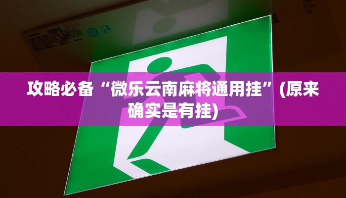 攻略必备“微乐云南麻将通用挂”(原来确实是有挂)